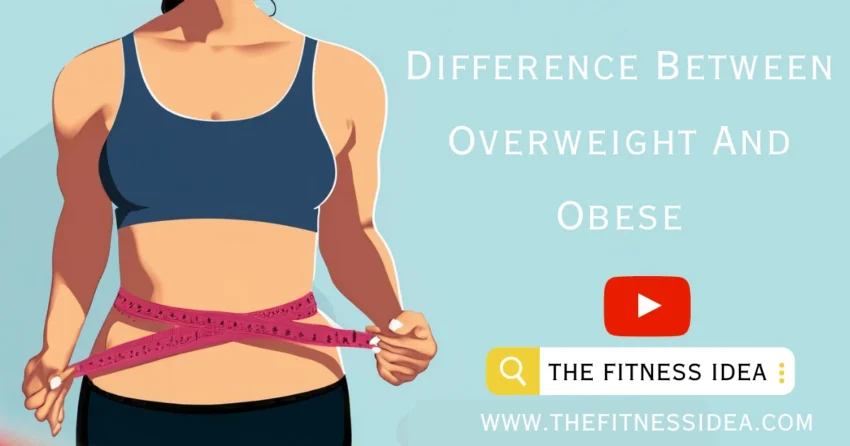 Difference Between Overweight And Obese